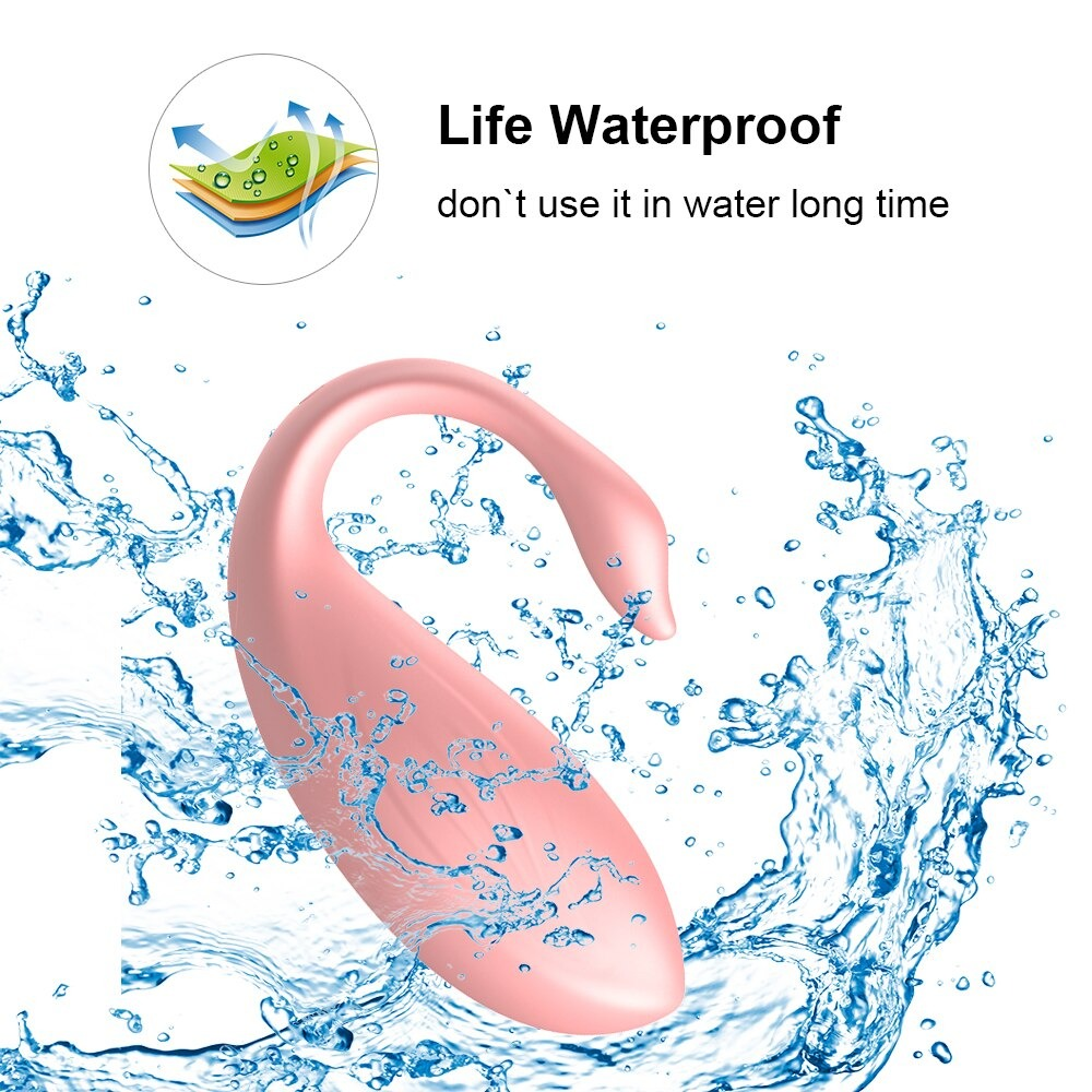 Wireless Remote Vibrating Egg for Women / Adult Clitoris Stimulation / Female Sex Toy - EVE's SECRETS
