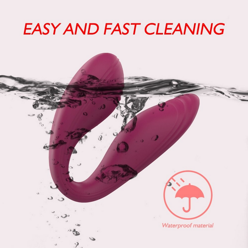 Wireless Sex Toys For Couple / USB Charger Female Dildo / Vibrating G-Spot Clitoris Stimulator - EVE's SECRETS