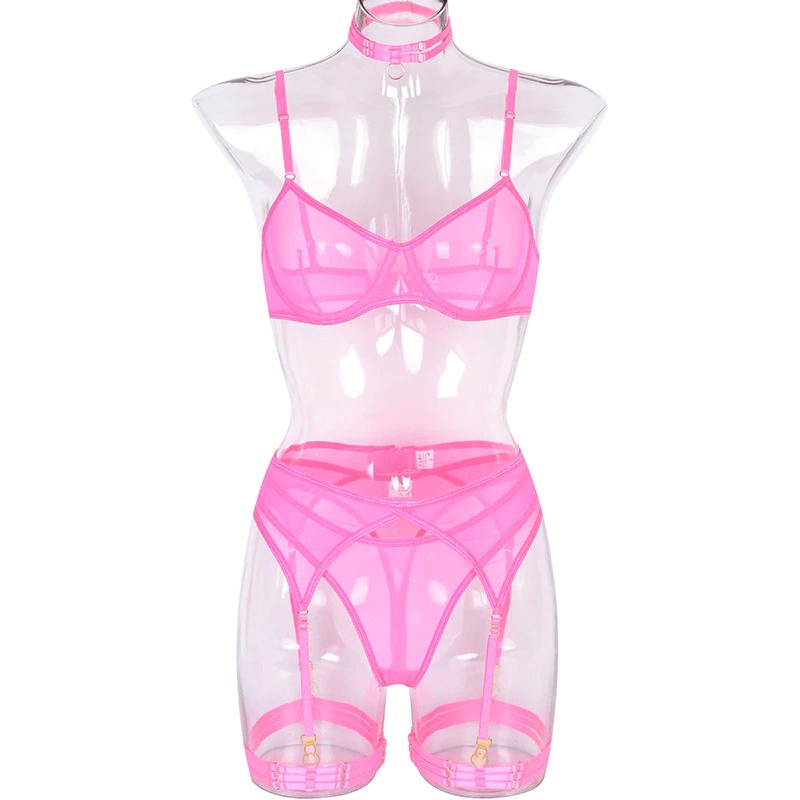 Women's 4 Pieces Transparent Erotic Underwear / Ladys Bra Garters Brief Sets Lingerie - EVE's SECRETS