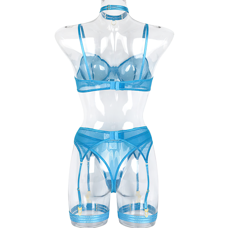 Woman's 3 Pieces Transparent Erotic Underwear / Ladys Bra Garters Brief Sets Lingerie - EVE's SECRETS