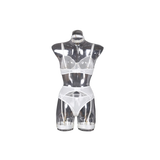 Woman's 3 Pieces Transparent Erotic Underwear / Ladys Bra Garters Brief Sets Lingerie - EVE's SECRETS