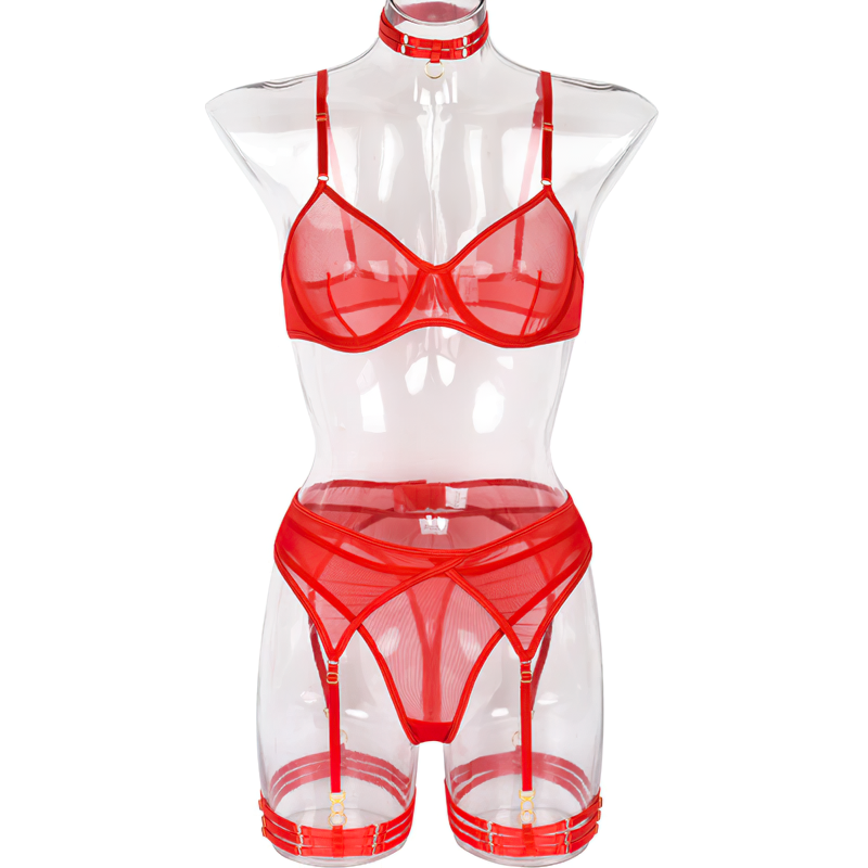 Woman's 3 Pieces Transparent Erotic Underwear / Ladys Bra Garters Brief Sets Lingerie - EVE's SECRETS