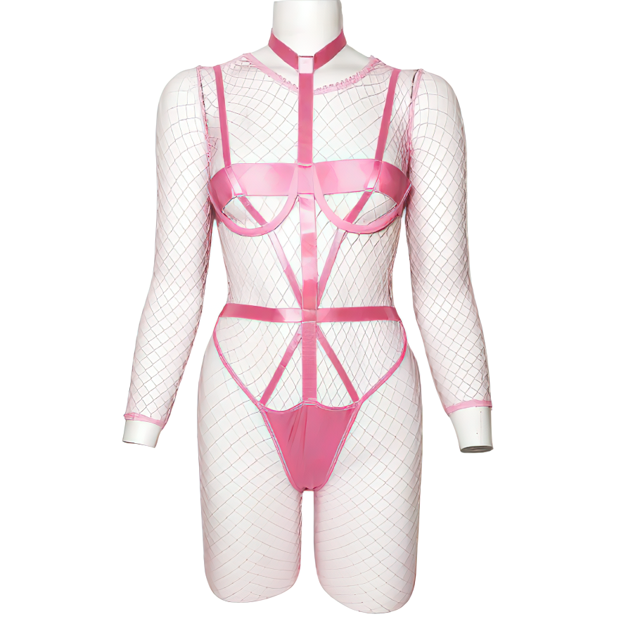 Women's Erotic Mesh Overall / Female Sex-Games Clothing / Sexy Long-Sleeve Bodysuits - EVE's SECRETS
