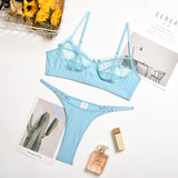 Women's Erotic Ruffle Lace Lingerie / Female Sexy Transparent Short Skin Bra Brief Sets - EVE's SECRETS