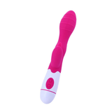 Women's G-Spot Clitoris Stimulator / Adult Silicone Dual Vibrator / Erotic Sex Toy - EVE's SECRETS