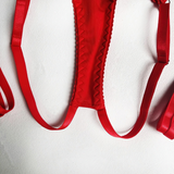 Women's Lingerie Sets / Sexy Female O-Neck Collar Open Chest Bras / Erotic High Waist Panties - EVE's SECRETS