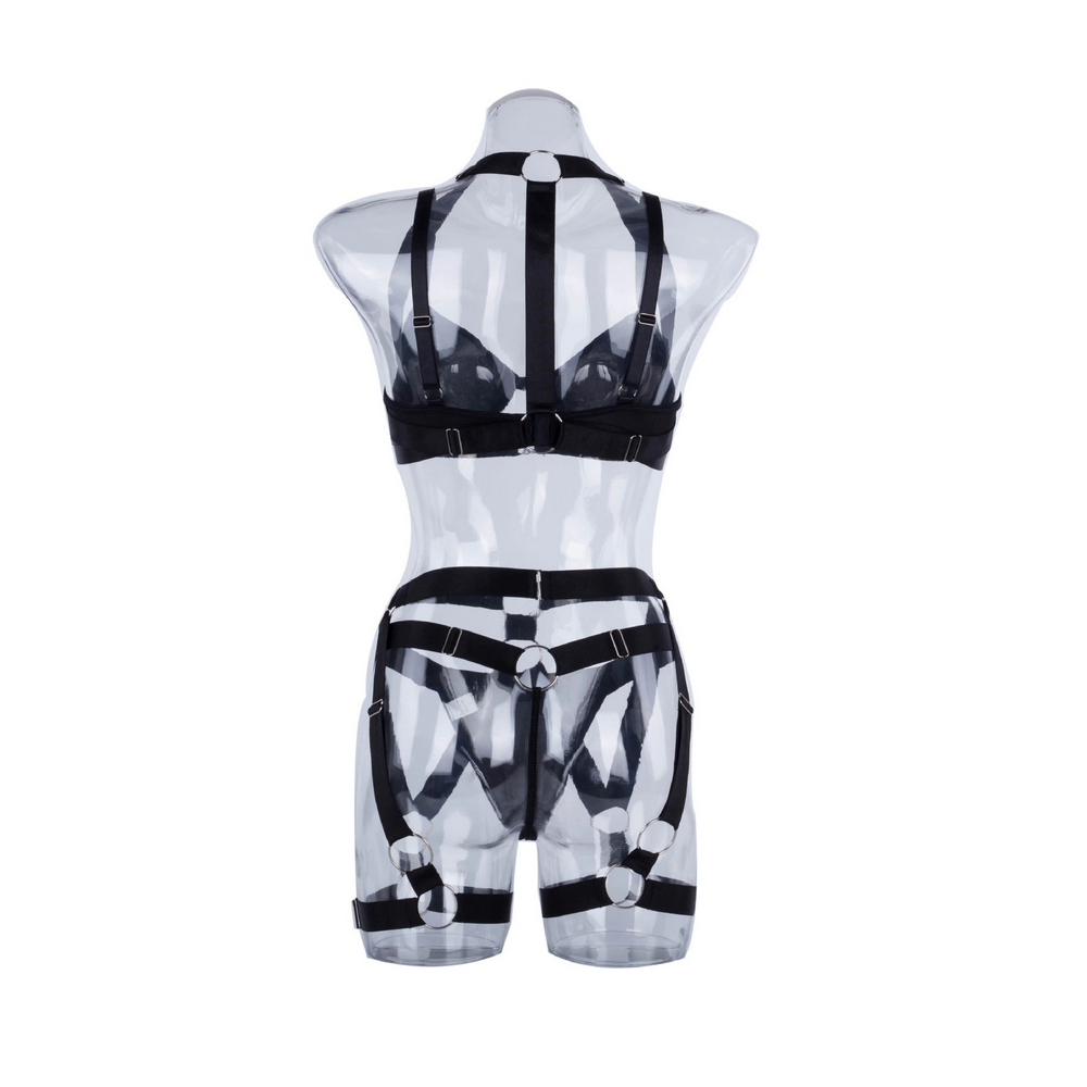 Women's Luxury Lingerie 3-Pieces Set / Bra with Panty and Garters / Sexy Ladies Underwear - EVE's SECRETS