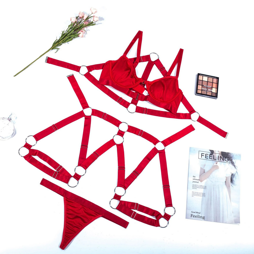 Women's Luxury Lingerie 3-Pieces Set / Bra with Panty and Garters / Sexy Ladies Underwear - EVE's SECRETS