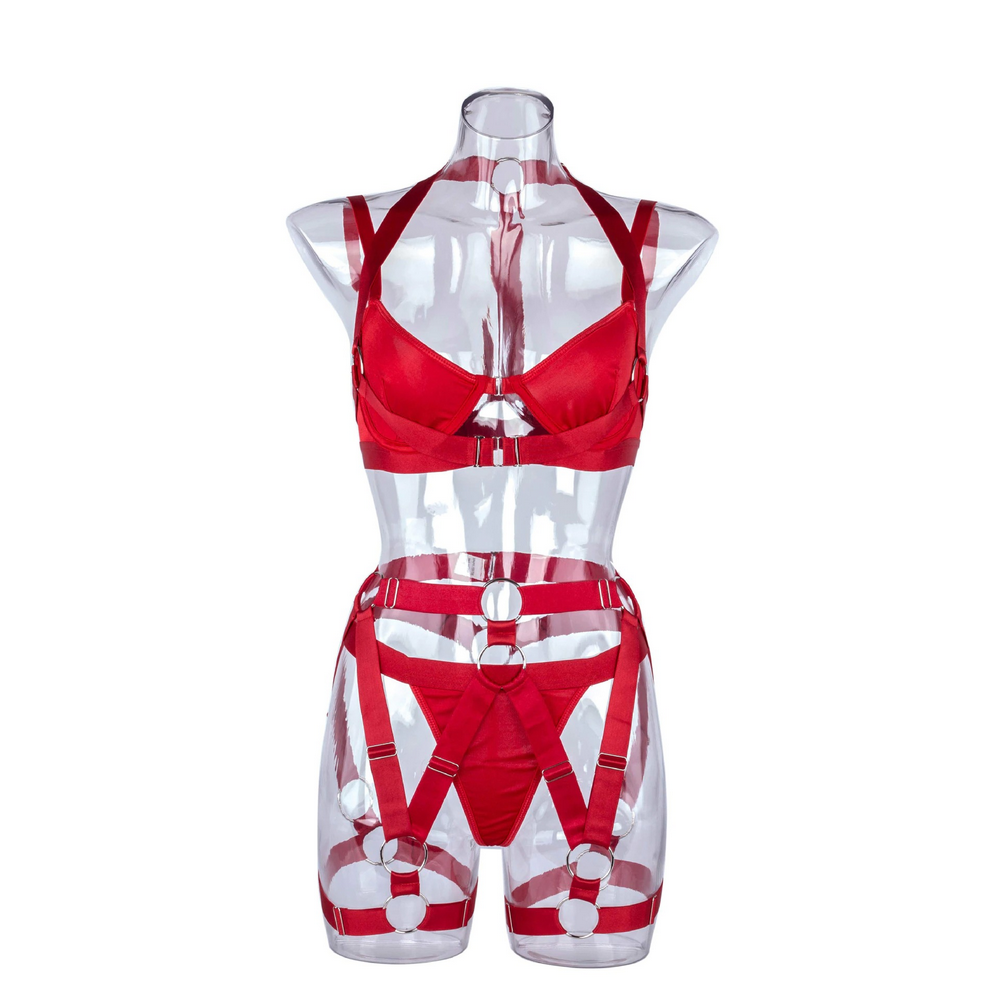 Women's Luxury Lingerie 3-Pieces Set / Bra with Panty and Garters / Sexy Ladies Underwear - EVE's SECRETS