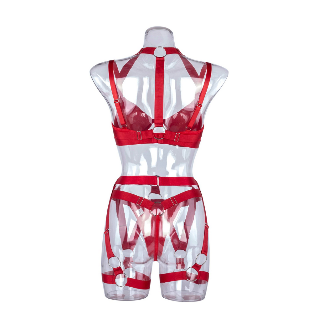 Women's Luxury Lingerie 3-Pieces Set / Bra with Panty and Garters / Sexy Ladies Underwear - EVE's SECRETS