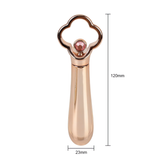 Women's Powerful Bullet Vibrators / Female Clitoral Massager / Small Sex Toy For Masturbation - EVE's SECRETS
