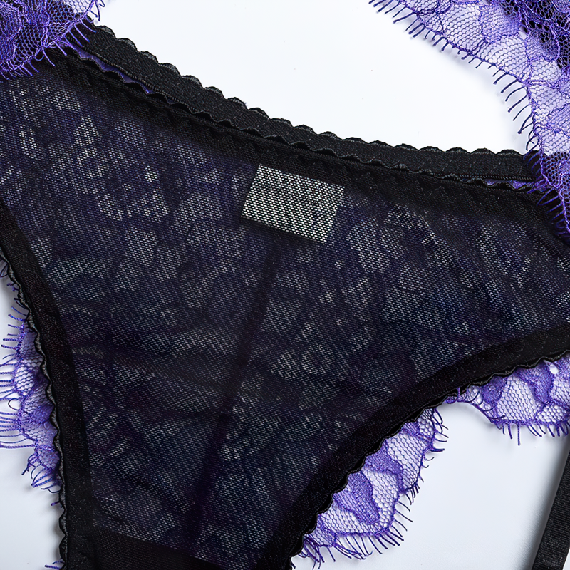 Women's Sensual Transparent Lace Lingerie / Exotic Female 3-Piece Garters Sets Underwear - EVE's SECRETS