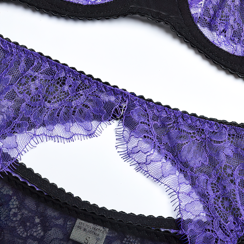 Women's Sensual Transparent Lace Lingerie / Exotic Female 3-Piece Garters Sets Underwear - EVE's SECRETS
