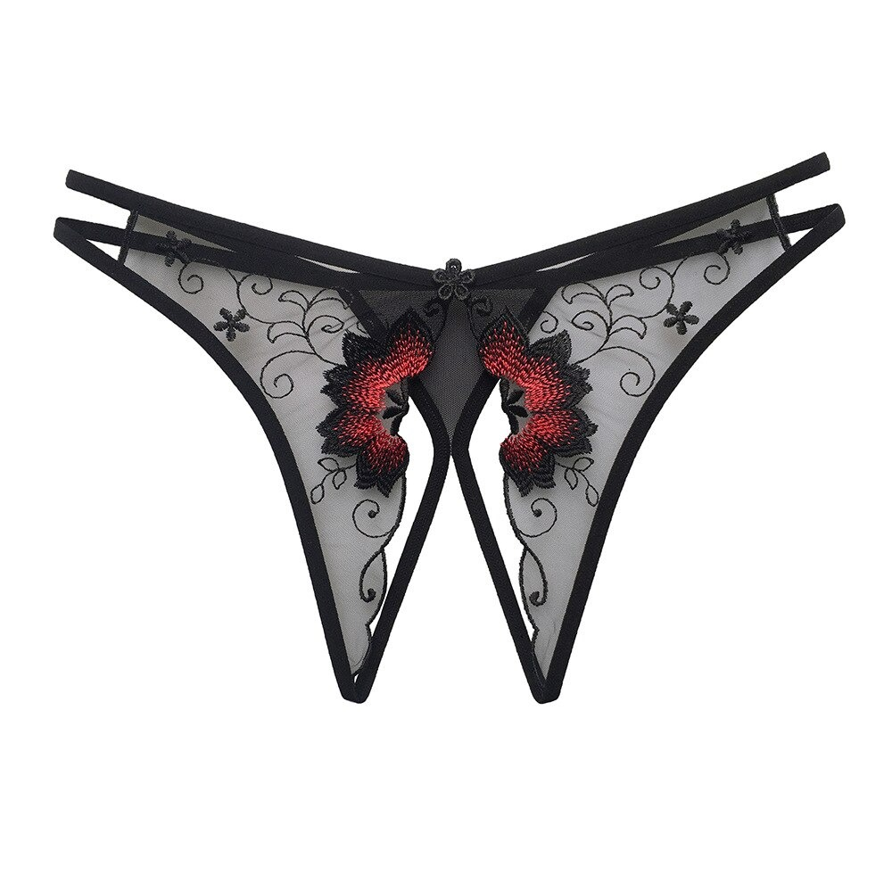 Women's Sexy Bikini Panties with Lace / Transparent Embroidery Briefs / Ladies Mesh Lingerie - EVE's SECRETS