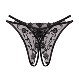 Women's Sexy Bikini Panties with Lace / Transparent Embroidery Briefs / Ladies Mesh Lingerie - EVE's SECRETS