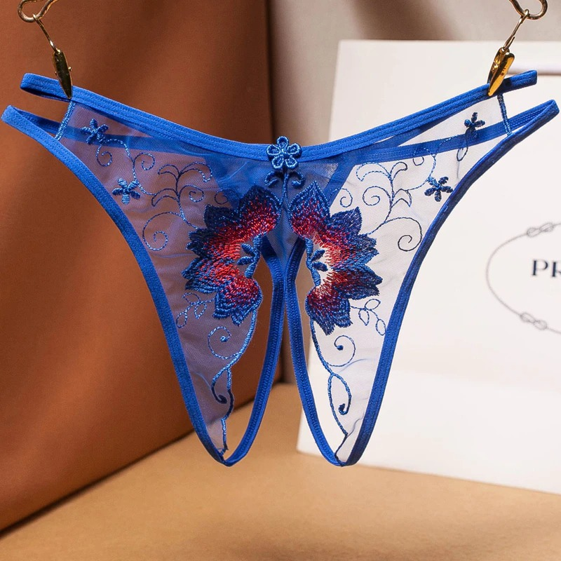 Women's Sexy Bikini Panties with Lace / Transparent Embroidery Briefs / Ladies Mesh Lingerie - EVE's SECRETS