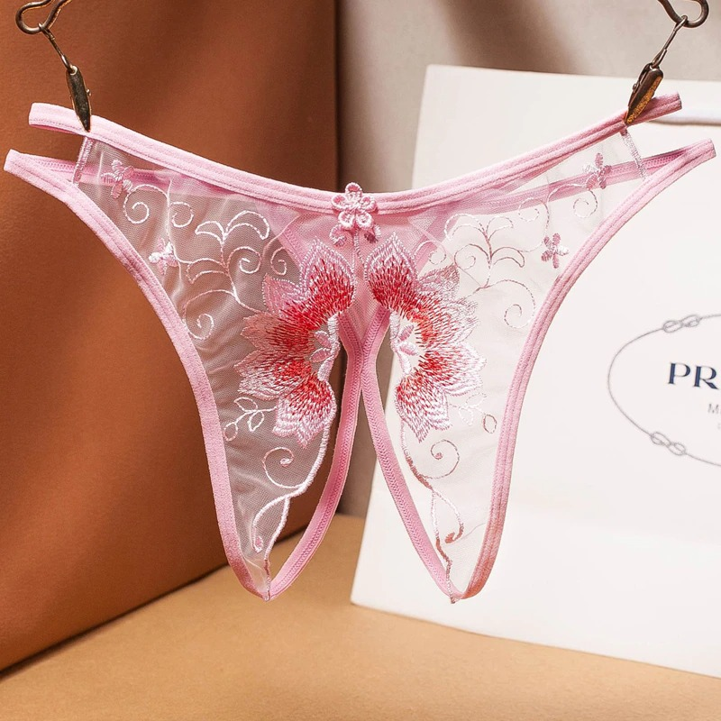 Women's Sexy Bikini Panties with Lace / Transparent Embroidery Briefs / Ladies Mesh Lingerie - EVE's SECRETS