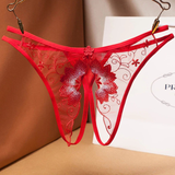 Women's Sexy Bikini Panties with Lace / Transparent Embroidery Briefs / Ladies Mesh Lingerie - EVE's SECRETS