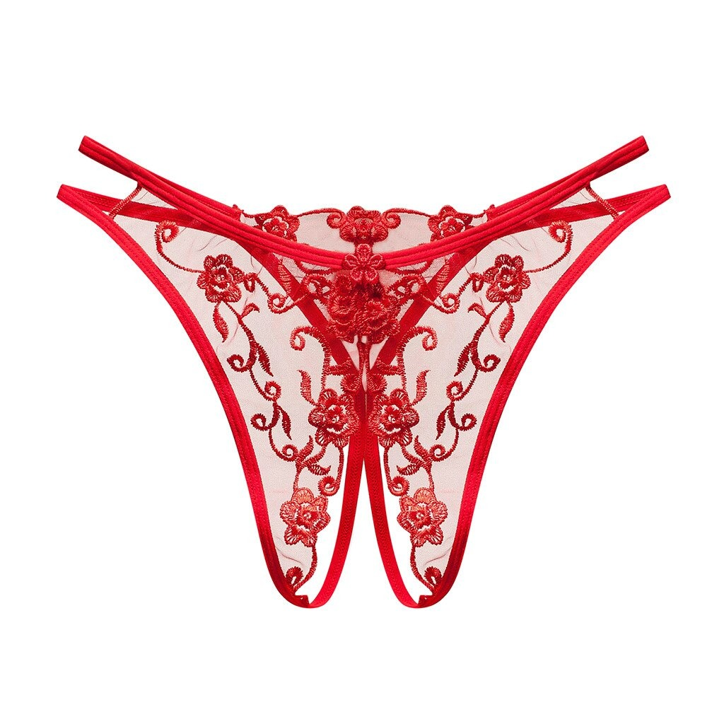 Women's Sexy Bikini Panties with Lace / Transparent Embroidery Briefs / Ladies Mesh Lingerie - EVE's SECRETS