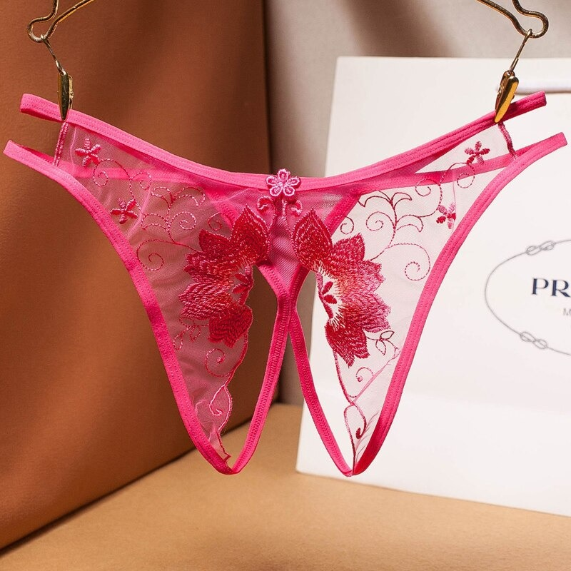 Women's Sexy Bikini Panties with Lace / Transparent Embroidery Briefs / Ladies Mesh Lingerie - EVE's SECRETS