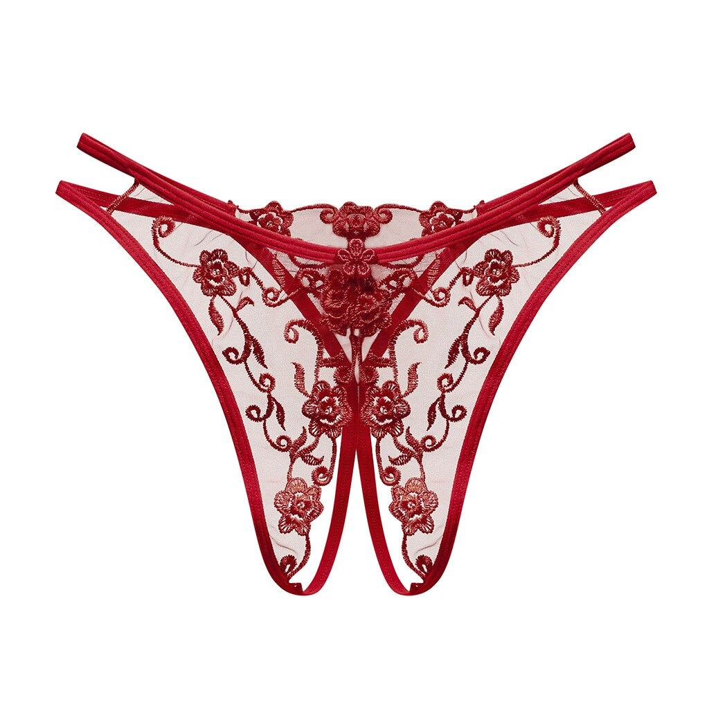 Women's Sexy Bikini Panties with Lace / Transparent Embroidery Briefs / Ladies Mesh Lingerie - EVE's SECRETS
