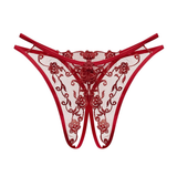 Women's Sexy Bikini Panties with Lace / Transparent Embroidery Briefs / Ladies Mesh Lingerie - EVE's SECRETS