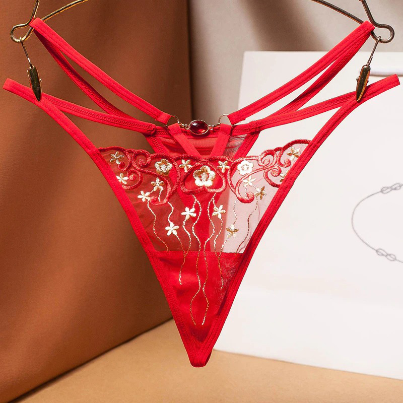 Women's Sexy Panties with Lace Embroidery / Female Erotic Lingerie - EVE's SECRETS