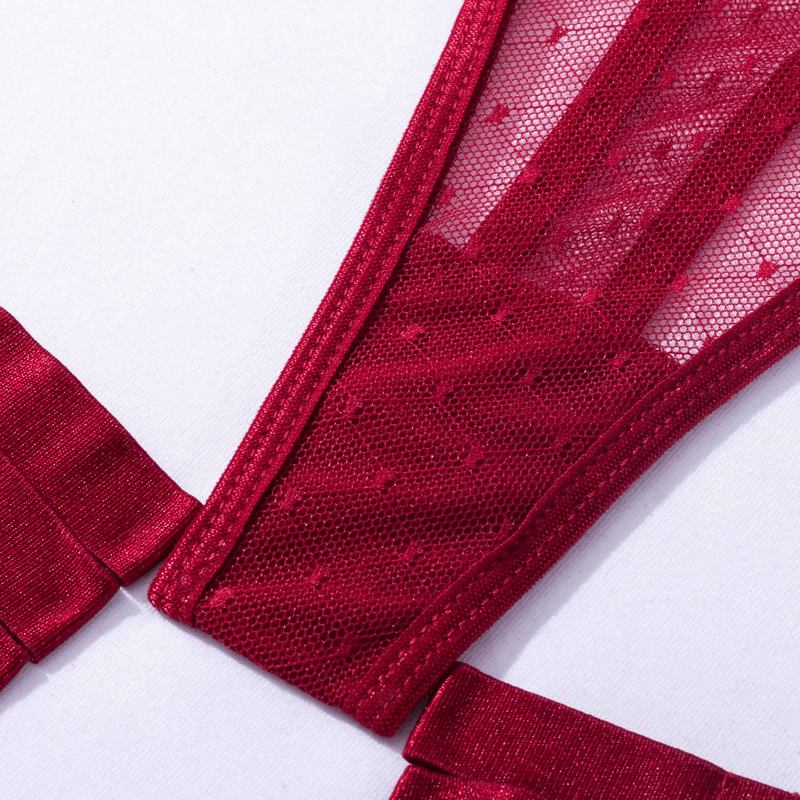 Women's Sexy Polka Dot Bodysuit with Belt and Leg Harness / Sheer Tempting Erotic Outfits - EVE's SECRETS