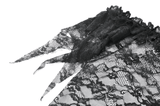 Elegant Off Shoulder Floral Lace Mesh Top for Women