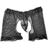 Erotic Men's Lace Underwear / Male Black Transparent Boxers / Sexy Mesh Panties - EVE's SECRETS
