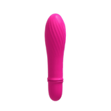 Female Mini Vibrator / 10-Speed Clitoral Bullet Stimulator / Sex Toys for Women - EVE's SECRETS