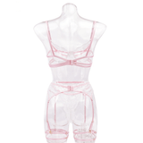 Luxury Lace Lingerie for Ladies / Exotic Underwear Sets / Intimate Garter Belt Set - EVE's SECRETS