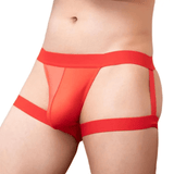 Sexy Men's Low-Rise Briefs / Erotic Male Underwear with Leg Rings - EVE's SECRETS