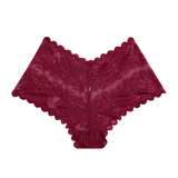 Sexy Mesh Lace Briefs for Women / Ladies See-Through Underwear - EVE's SECRETS