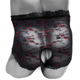 Sheer Mesh Embroidery Panties with Open Crotch / Sexy Men's See-Through Briefs - EVE's SECRETS
