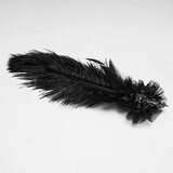 Vintage Gothic Spider Web Feather Masquerade Mask