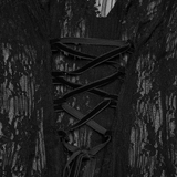 Women's Sheer Gothic Buckled Waist Blouse Top