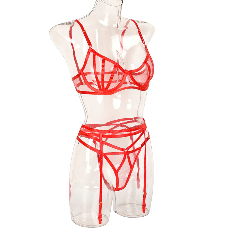 3-Piece Intimate Erotic Costume / Women's Elegant Transparent Underwear / Exotic Lace Set - EVE's SECRETS