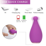 Adult Nipple Clitoris Stimulator for Woman / Anal Butt Plug / G-Spot Dildo Vibrator - EVE's SECRETS