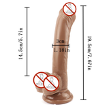 Anal Dildo for Beginner with Strong Suction Cup / Female Dildo Masturbator for Adult - EVE's SECRETS