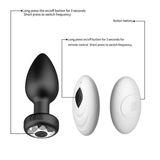 Anal Plug With Wireless Remote Control / Vibrators For Women / Sex Toys For Couples - EVE's SECRETS