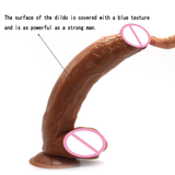 Big Realistic Dildo for Women Masturbation / Adult Huge Phalos Sex Toy - EVE's SECRETS