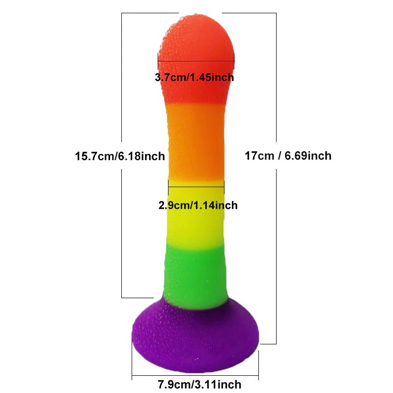 Rainbow Curved Silicone Dildo / Vaginal and Anal Stimulator / Sex Toys for Women and Men - EVE's SECRETS