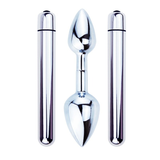Double Ended Anal Plug with Vibrator / Smooth Metal Detachable Butt Plugs