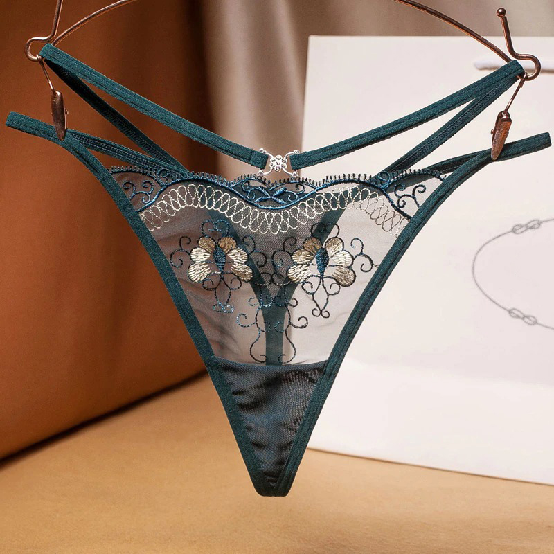 Embroidered Lace Panties for Women / Ladies Sexy Transparent Underwear - EVE's SECRETS