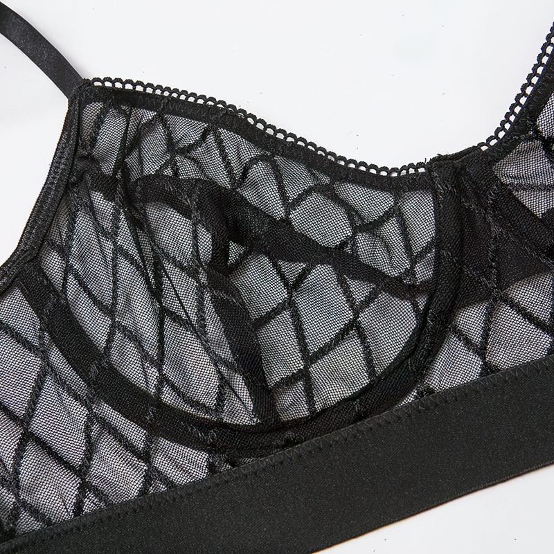 Erotic Female Plaid Lingerie Underwear / Transparent Lace Brief Bra and Panty Sets - EVE's SECRETS