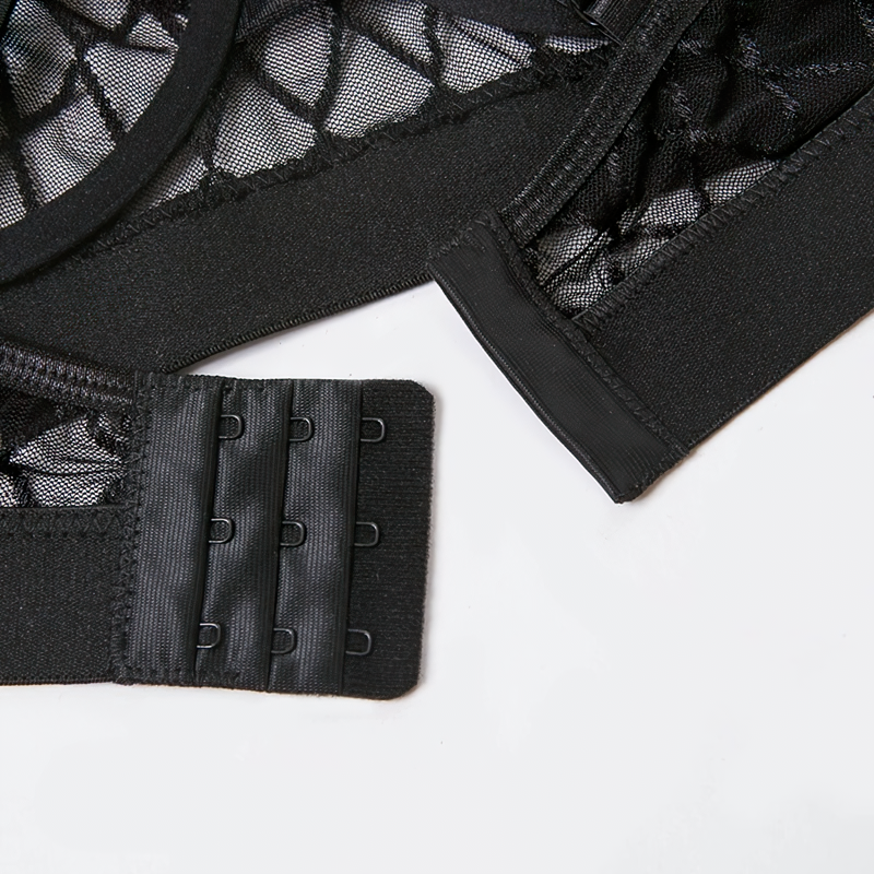 Erotic Female Plaid Lingerie Underwear / Transparent Lace Brief Bra and Panty Sets - EVE's SECRETS