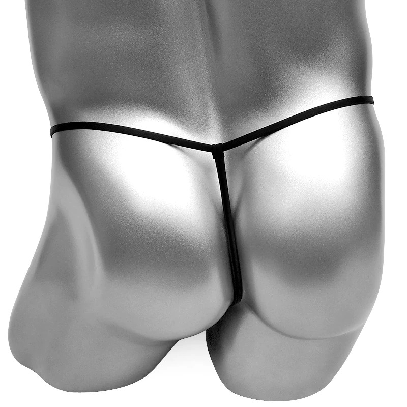 Erotic Men's Embroidery Underwear / Bikini Low-Rise Lingerie / Erotic See-Through Male Panties - EVE's SECRETS