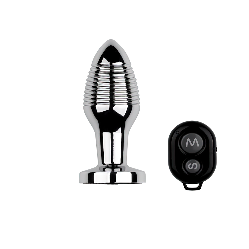 Erotic Sex Toys For Masturbation / Remote Controlled Vibrators / Unisex Metal Anal Plug - EVE's SECRETS