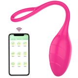 Female App-Controlled Egg Vibrators / Women's G-Spots Masturbator / Wireless Remote Vibrator - EVE's SECRETS